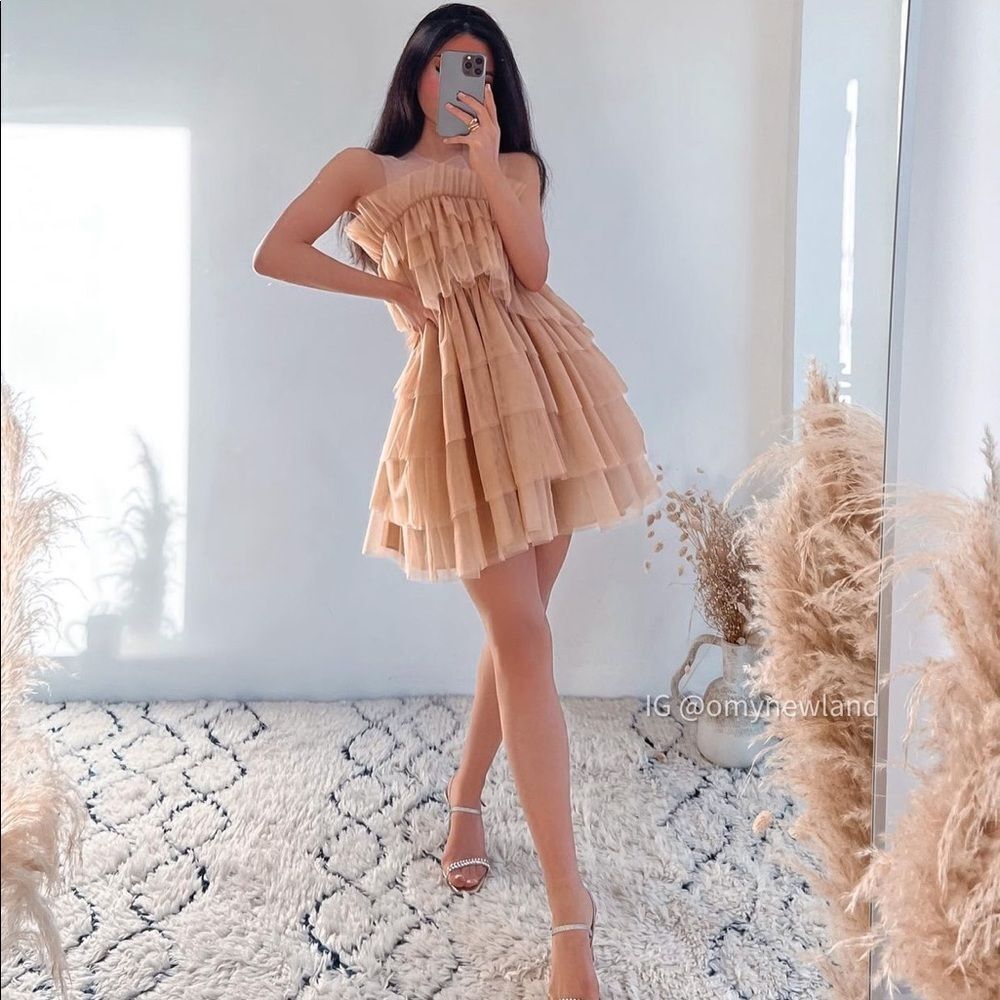 Zara NYC ballet tulle dress limited edition
